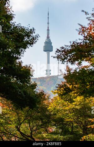 Seoul, Südkorea. 23. Oktober 2022. Dieses Foto vom 23. Oktober 2022 zeigt den Namsan Seoul Tower inmitten von Herbstbäumen im Namsan Park in Seoul, Südkorea. Quelle: Wang Yiliang/Xinhua/Alamy Live News Stockfoto