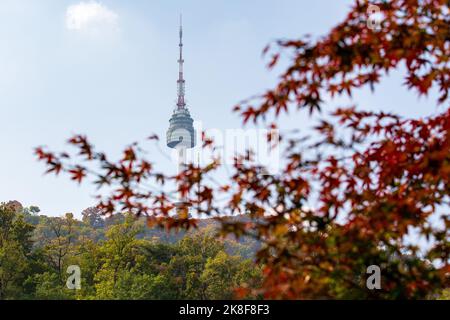 Seoul, Südkorea. 23. Oktober 2022. Dieses Foto vom 23. Oktober 2022 zeigt den Namsan Seoul Tower inmitten von Herbstbäumen im Namsan Park in Seoul, Südkorea. Quelle: Wang Yiliang/Xinhua/Alamy Live News Stockfoto