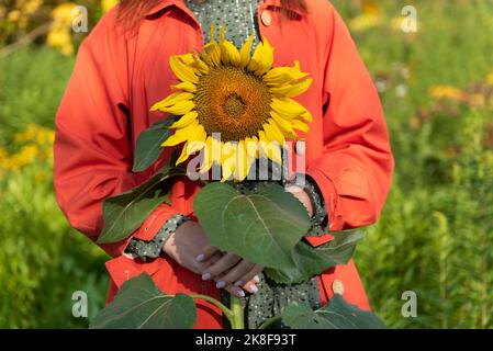 Frau mit Sonnenblume im Garten stehend Stockfoto