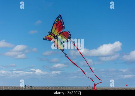 Drachenfliegen gegen blauen Himmel, Little Shore Beach, Harbour Road, Amble, Northumberland, England, Vereinigtes Königreich Stockfoto