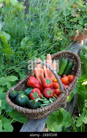 Weidenkorb gefüllt mit hausgemachten Gemüse Stockfoto