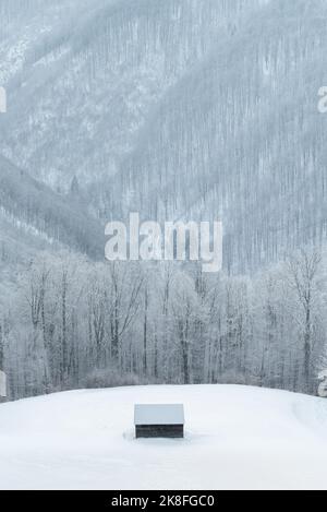 Landschaft mit einer Einzelkabine am Waldrand im Winter Stockfoto