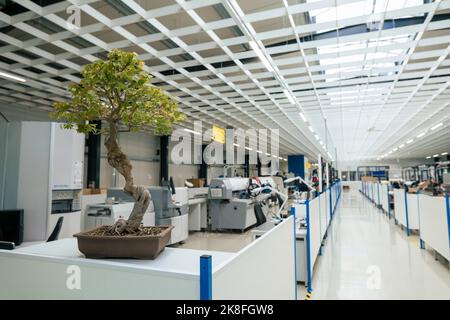 Bonsai-Baum in der Industrie auf dem Tisch gehalten Stockfoto