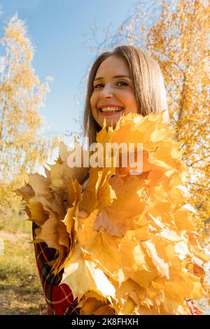 Glückliche Frau mit Ahornblättern im Park an sonnigen Tag Stockfoto