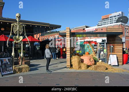 Ottawa, Kanada - 22. Oktober 2022: Saisonale Ausstellung mit riesigen Skeletten, die für Halloween auf dem Byward Market aufgestellt wurden. Stockfoto