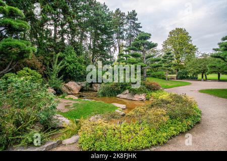 Toller Blick auf den Sonnenuntergang Japanischer Garten im NORDPARK in Düsseldorf mit künstlichem Bach und Kiefern und Felsen Stockfoto