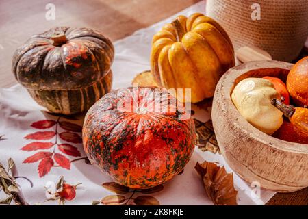 Herbststimmung mit bunten Kürbissen und Kürbissen auf einem Tisch Stockfoto