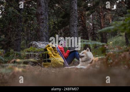 Frau mit kabellosen Kopfhörern und Laptop im Wald Stockfoto