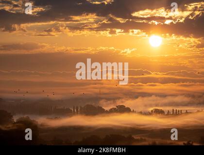 Deutschland, Baden-Württemberg, Blick auf das Radolfzeller Aachried Reservat, das bei Sonnenaufgang in dichten Nebel gehüllt ist Stockfoto