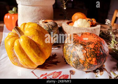 Herbststimmung mit bunten Kürbissen und Kürbissen auf einem Tisch Stockfoto