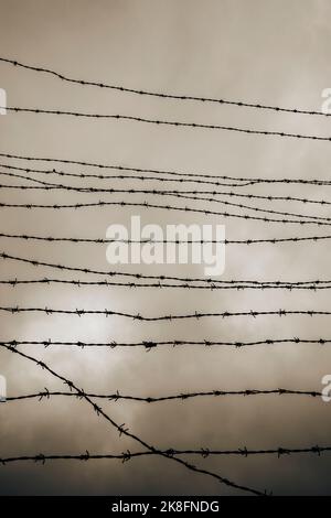 Österreich, Oberösterreich, Stacheldrahtzaun des Eisernen Vorhangs Memorial gegen bewölkten Himmel Stockfoto