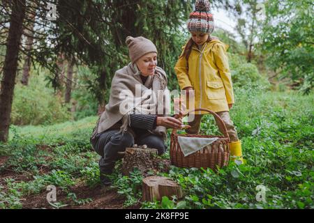 Reife Frau mit Enkelin, die im Wald Pilze aufsammeln Stockfoto