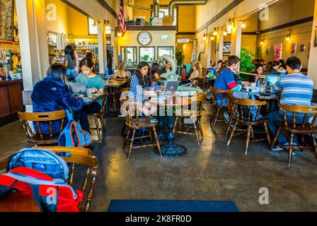 Berkeley, Kalifornien, USA, University of California, Berkeley, Crowd People, College Studenten studieren in lokalen Cafe Restaurant, Tische, Inside, auf dem Campus Stockfoto