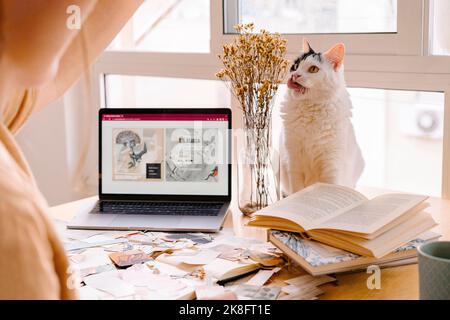 Katze, die die Zunge herausstreckt, sitzt zu Hause an einer Vase und einem Laptop auf dem Schreibtisch Stockfoto