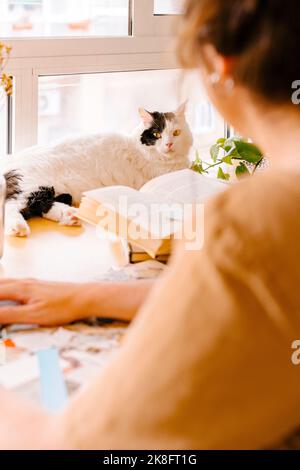 Katze ruht auf dem Schreibtisch von freiberuflicher Arbeit zu Hause Stockfoto