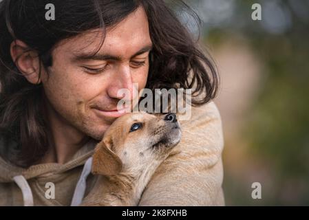 Welpe Hund sitzt in den Armen schön glücklich rötlich orange havanese Portrait niedlich Herbst Konzept, im Freien jung braun golden natürlichen Hintergrund Stockfoto