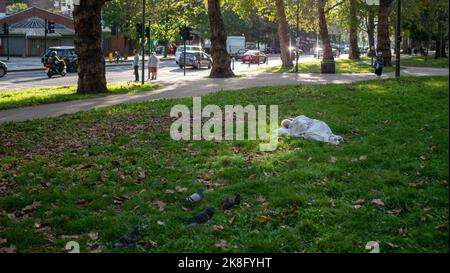 Eine Obdachlose schläft unter den Krähen auf dem Gras bei Shepherds Bush Green in London, Großbritannien. Stockfoto