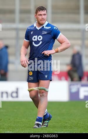 Eccles, Großbritannien. 23. Oktober 2022. COBUS Wiese #4 of Sale Sharks während des Spiels der Gallagher Premiership Sale Sharks vs Harlekins im AJ Bell Stadium, Eccles, Großbritannien, 23.. Oktober 2022 (Foto von Steve Flynn/News Images) in Eccles, Großbritannien am 10/23/2022. (Foto von Steve Flynn/News Images/Sipa USA) Quelle: SIPA USA/Alamy Live News Stockfoto