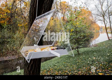 Ein Vogelfutterhäuschen in Form eines Hauses mit transparentem Dach. Zum Füttern, Vögel beobachten. Es gibt Körner und Samen darin. Hängt an einem Baum an der Stockfoto