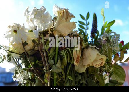 Nahaufnahme eines verwelkenden Straußes aus weißen Rosen und Chrysanthemen und Grüns. Das Konzept des Endes eines Urlaubs oder einer Beziehung. Selektiver Fokus Stockfoto