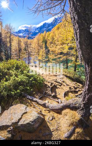 Alpine See, den Wald im kristallklaren Wasser spiegelt, bewölkten Tag, See von Hexen, Alpe Devero, Italien Stockfoto