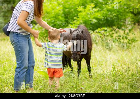 Mutter und ihr Sohn streicheln an einem Sommertag ein kleines Pony im Park Stockfoto