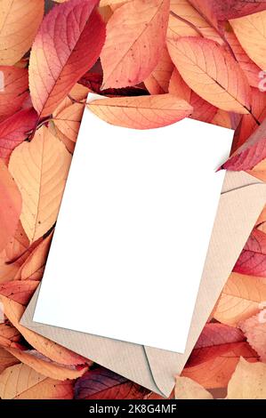 Herbstkomposition. Umschlag auf Blättern Hintergrund. Herbst-Herbst-Konzept. Flach liegend, Draufsicht, Kopierbereich. Stockfoto