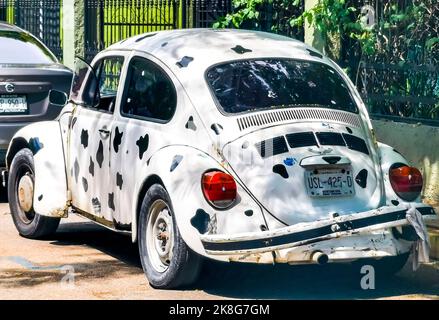 Verschiedene bunt getunte Autos und Oldtimer-Klassiker in Playa del Carmen Quintana Roo Mexiko. Stockfoto