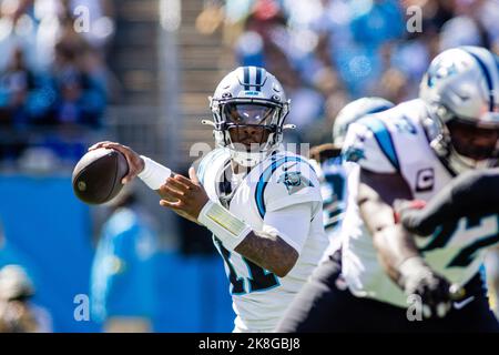 Charlotte, NC, USA. 23. Oktober 2022. Carolina Panthers Quarterback PJ Walker (11) wirft im ersten Quartal des NFL-Matchup in Charlotte, NC. (Scott Kinser/Cal Sport Media). Kredit: csm/Alamy Live Nachrichten Stockfoto