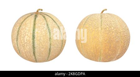 Melonenweg von Cantaloupe isoliert auf weiß Stockfoto