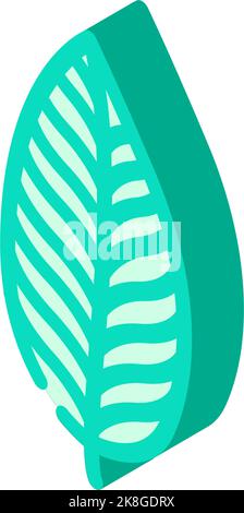 calathea tropische Blatt isometrische Symbol Vektor Illustration Stock Vektor