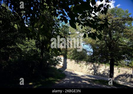 Schotterweg, der zu einer Straße neben einer Steinmauer in einem Wald führt Stockfoto