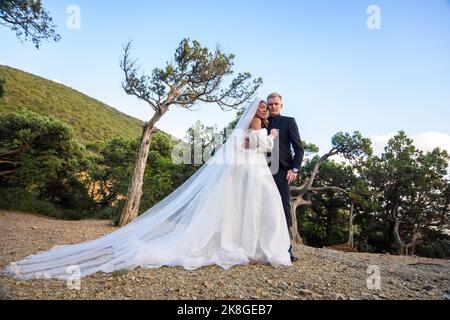 Die Braut in einem langen weißen Kleid und der Bräutigam im Anzug stehen vor der Kulisse eines alten Waldes und der Berge. Stockfoto