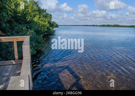 Blick auf das Wasser vom Red Mangrove Overlook Trail am Darling National Wildlife Refuge vor dem heckten Ian auf Sanibel Island in Florida. Stockfoto