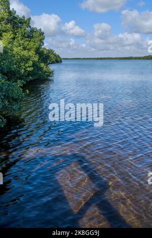 Blick auf das Wasser vom Red Mangrove Overlook Trail am Darling National Wildlife Refuge vor dem heckten Ian auf Sanibel Island in Florida. Stockfoto