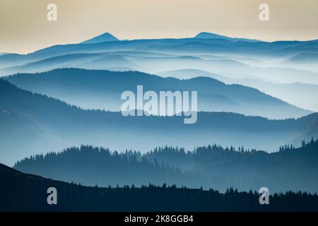 Neblige Bergrücken am Morgen. Künstlerisches Foto der Karpaten, Ukraine. Tolle Aussicht auf die Berge Hoverla und Petros Stockfoto