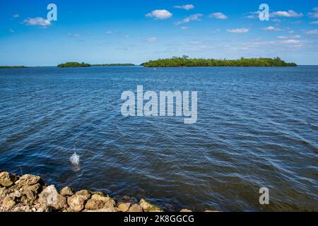 Blick auf das Wasser vom Wulfert Keys Trail im Darling National Wildlife Refuge vor dem hemmen Ian auf Sanibel Island in Florida. Stockfoto