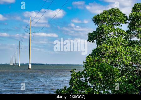 Blick auf das Wasser vom Wulfert Keys Trail im Darling National Wildlife Refuge vor dem hemmen Ian auf Sanibel Island in Florida. Stockfoto