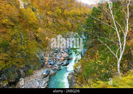 Der Fluss fließt am Grund einer Bergschlucht entlang Stockfoto