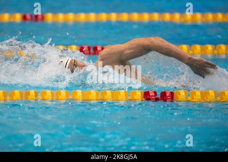 Berlin, Deutschland. 23. Oktober 2022. Tauchen: WM, Entscheidung, Kunstspringen 3 m, Frauen: Credit: Christophe Gateau/dpa/Alamy Live News Stockfoto