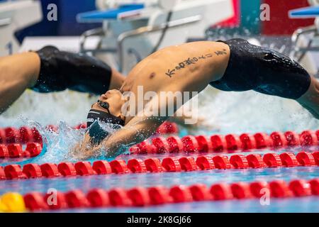 Berlin, Deutschland. 23. Oktober 2022. Schwimmen: WM, Entscheidungen, 100m Rückenschlag, Männer: Shaine Casas aus den USA gewinnt das Rennen. Quelle: Christophe Gateau/dpa/Alamy Live News Stockfoto