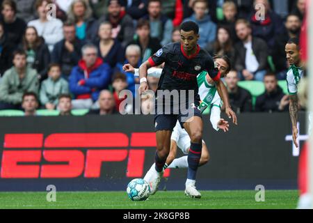 GRONINGEN, NIEDERLANDE - 23. OKTOBER: Cody Gakpo vom PSV während des niederländischen Eredivisie-Spiels zwischen dem FC Groningen und dem PSV Eindhoven am 23. Oktober 2022 bei Euroborg in Groningen, Niederlande (Foto: Peter Lous/Orange Picches) Stockfoto