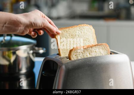 Kochen Sie frischen Toast in einem modernen Toaster auf dem Hintergrund der Küche. Weibliche Hand hält Brot. Stockfoto