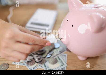 Sparschwein mit Netzstecker, Banknoten und Münzen Stockfoto