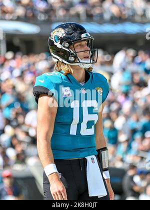 Jacksonville, FL, USA. 23. Oktober 2022. Jacksonville Jaguars Quarterback Trevor Lawrence (16) während des Halbspiels 2. gegen die New York Giants in Jacksonville, FL. Romeo T Guzman/CSM/Alamy Live News Stockfoto