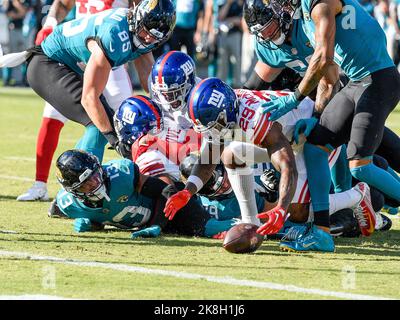 Jacksonville, FL, USA. 23. Oktober 2022. Die Sicherheit der New York Giants Xavier McKinney (29) kommt, nachdem der nach Jacksonville Jaguars breitgefächerte Empfänger Christian Kirk (13) in den letzten Sekunden des 4.. Quartals bei einem Spiel gegen die New York Giants in Jacksonville, FL, den Ball fumllt. Romeo T Guzman/CSM/Alamy Live News Stockfoto