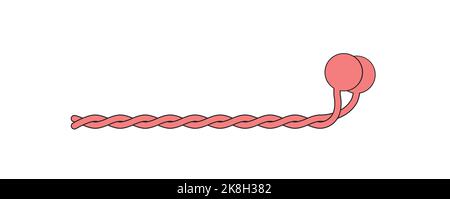 Wissenschaftliche Gestaltung der Myosin-Molekülstruktur. Bunte Symbole. Vektorgrafik. Stock Vektor