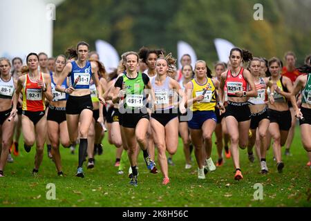 Abbildung Bild zeigt den Start des Frauen-Staffellaufs beim CrossCup-Leichtathletik-Event, der ersten Etappe des CrossCup-Wettbewerbs, Sonntag, 23. Oktober 2022 in Berlare. BELGA FOTO FILIP LANSZWEERT Stockfoto