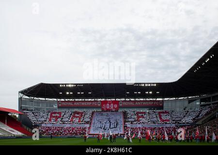 Die Anhänger Antwerpens vor einem Fußballspiel zwischen dem Royal Antwerp FC und dem KRC Genk am Sonntag, dem 23. Oktober 2022 in Antwerpen, am 14. Tag der „Jupiler Pro League“ der ersten Division der belgischen Meisterschaft 2022-2023. BELGA FOTO KRISTOF VAN ACCOM Stockfoto