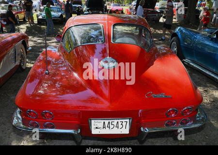 1963 Chevrolet Corvette Stingray Mit Geteiltem Fenster. Stockfoto